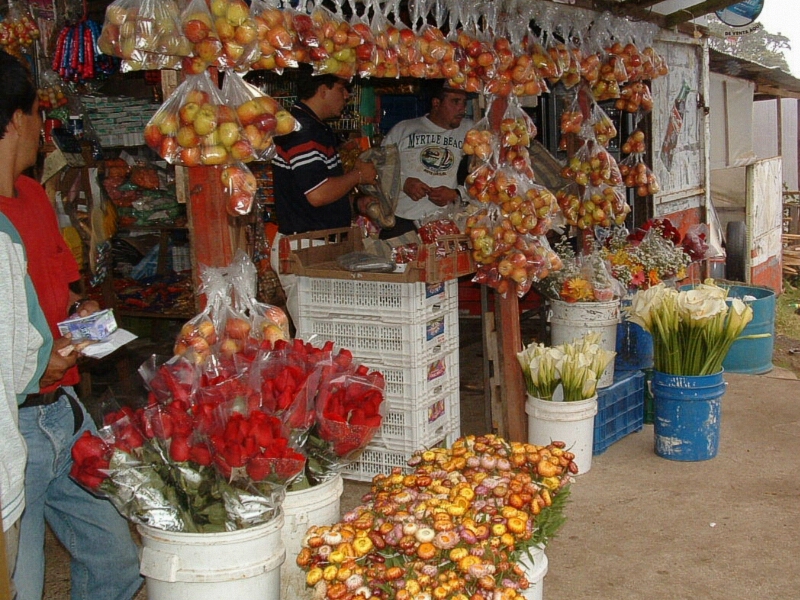 Costa Rican Corner Market
