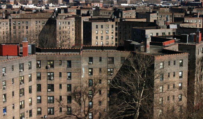 new york public housing